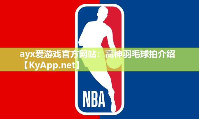 高神羽毛球拍介绍